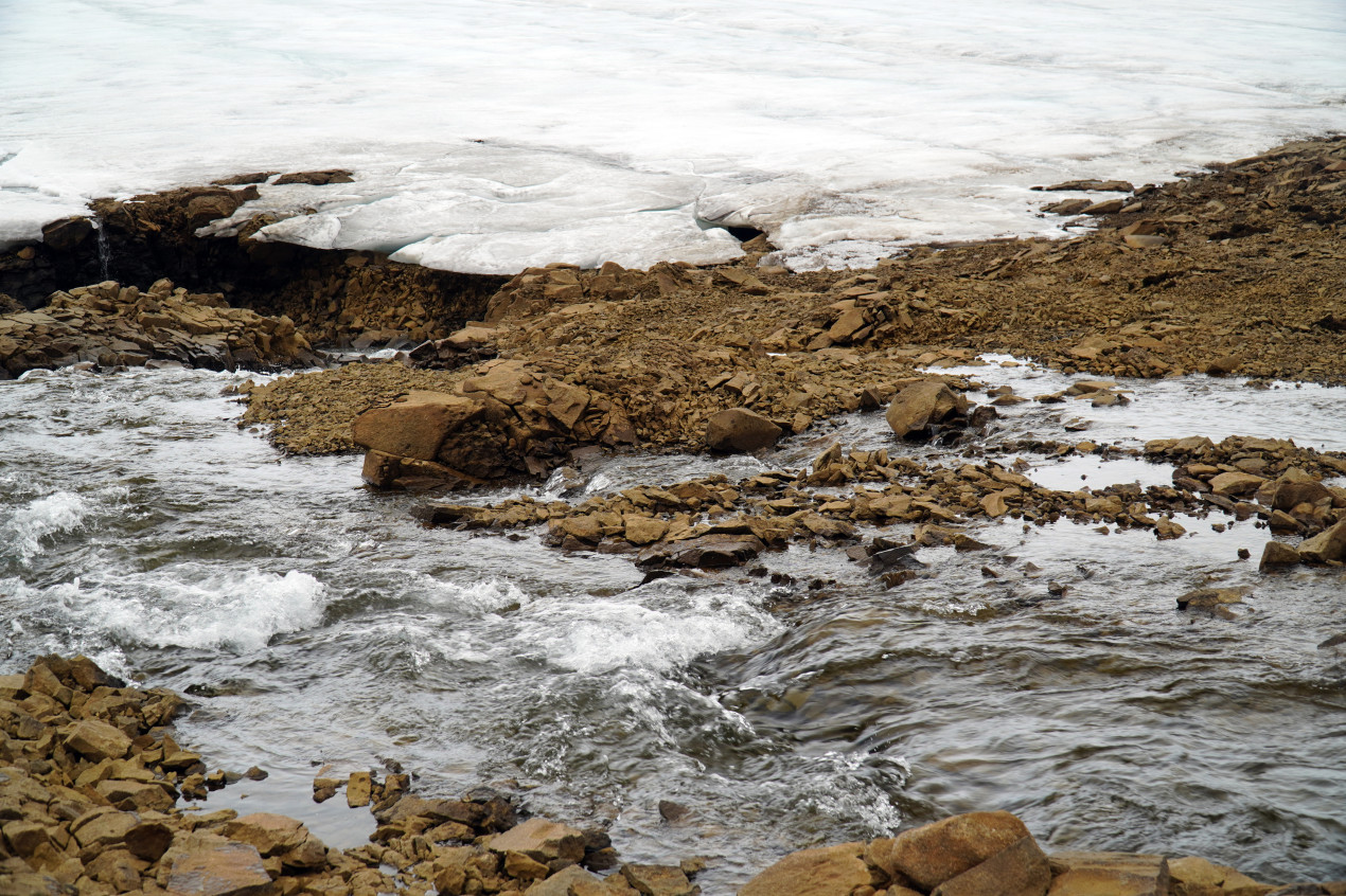 Ученые отобрали пробы  из некоторых небольших ручьев, вытекающих из проточных озер. Фото: Дарья Зарецкая