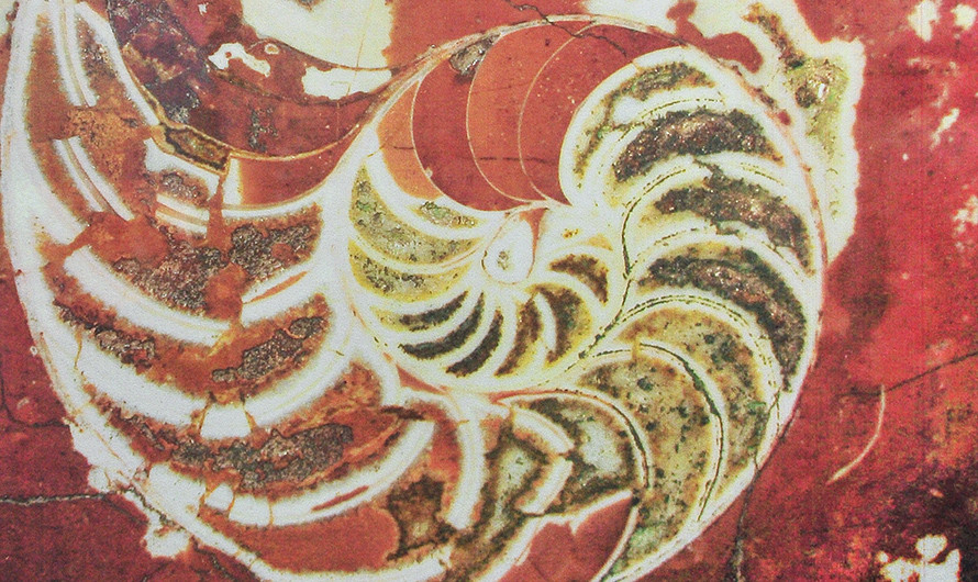 Наутилус в мраморной облицовке станции «Добрынинская». Фото: wikipedia.org