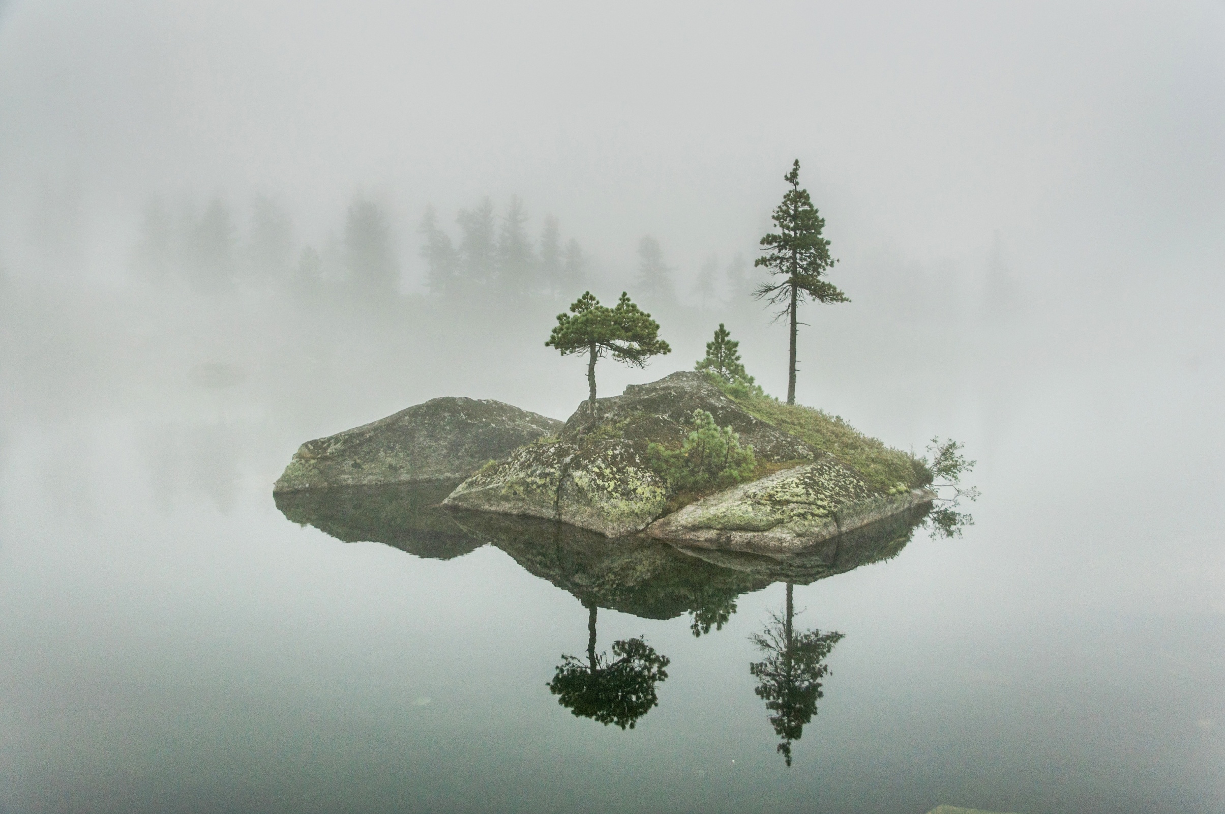 Фотографии Русского Географического Общества