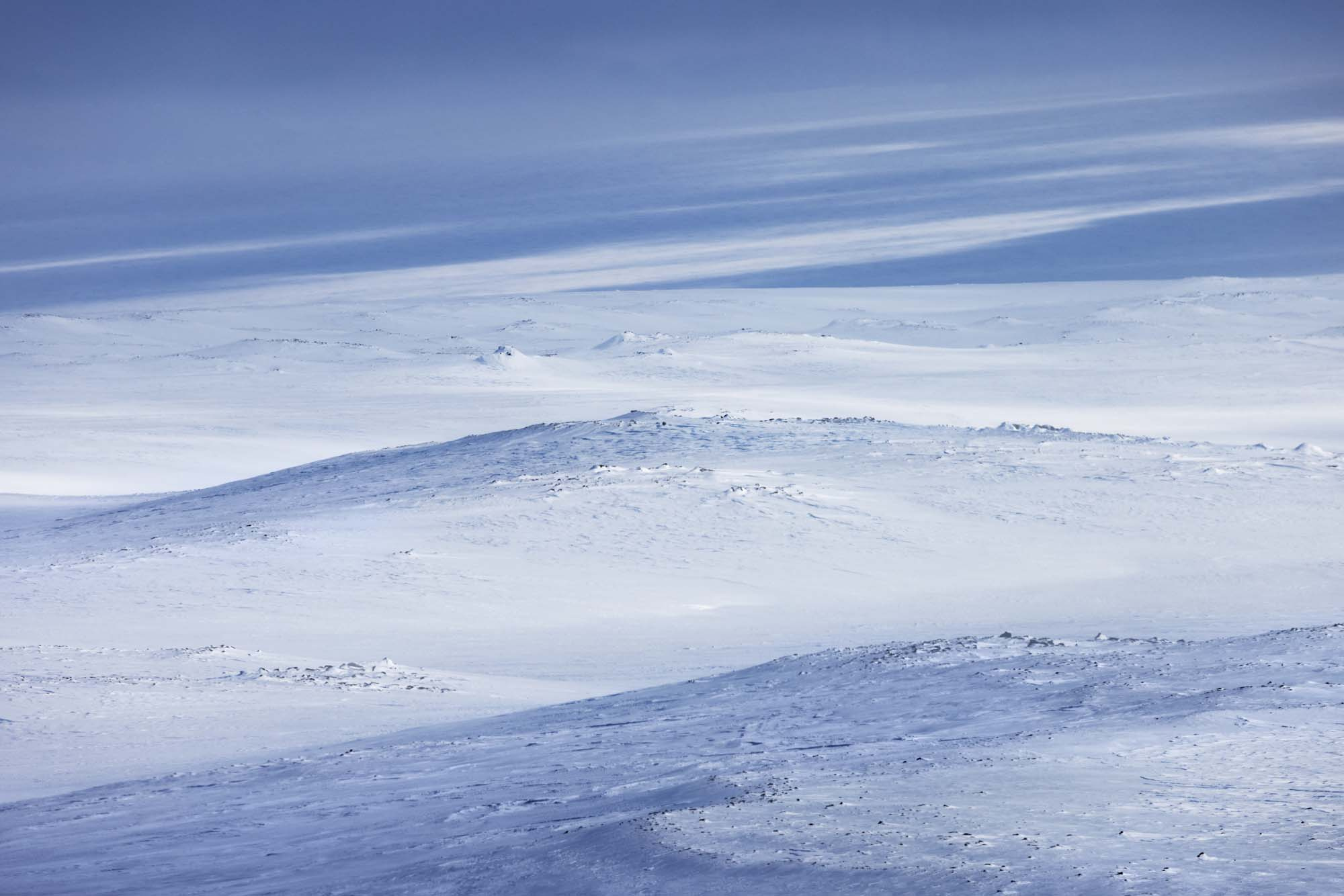 Арктическая пустыня острова Земля Александры. Фото: Пётр Ушанов 
