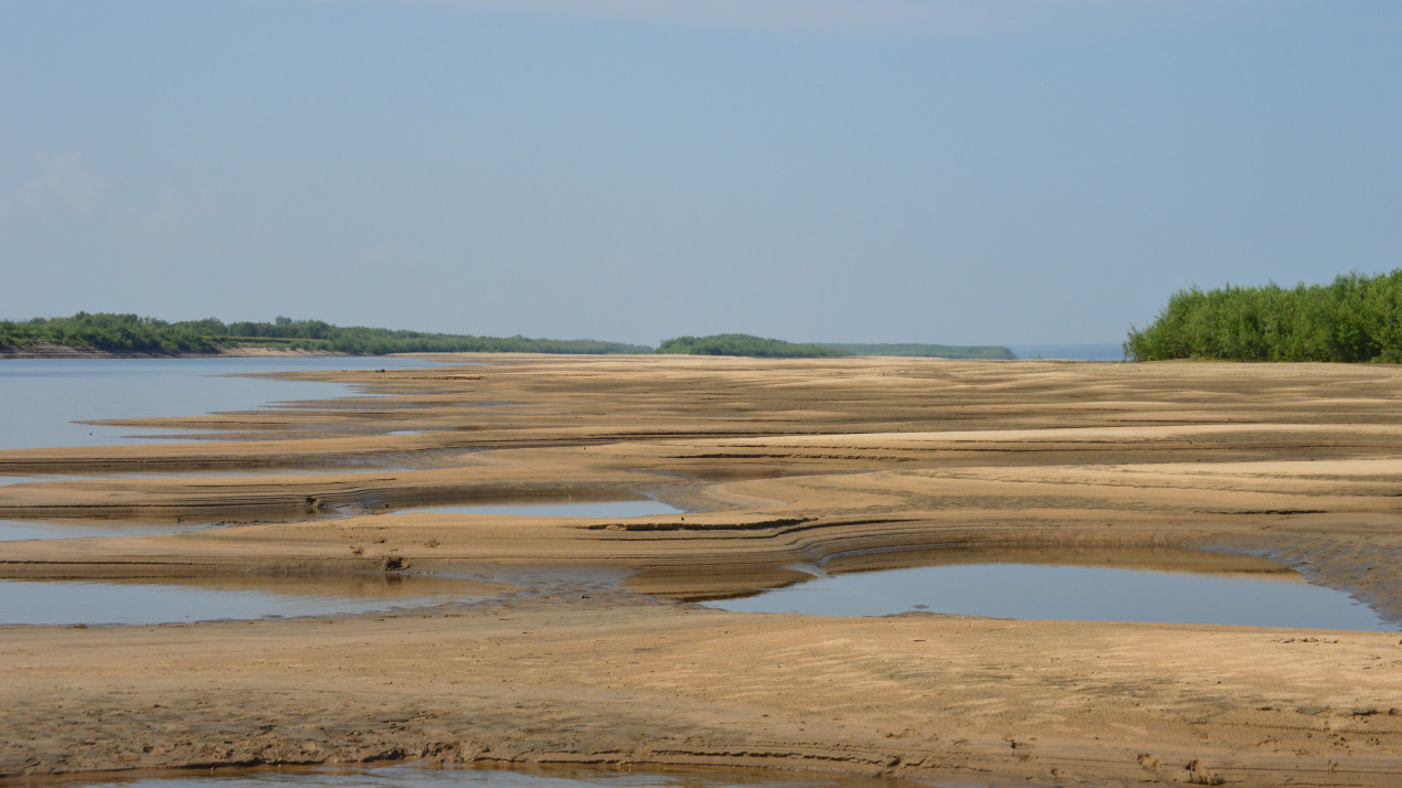 Последствие засухи. Фото: Наталья Мордовская, участник конкурса РГО «Самая красивая страна»