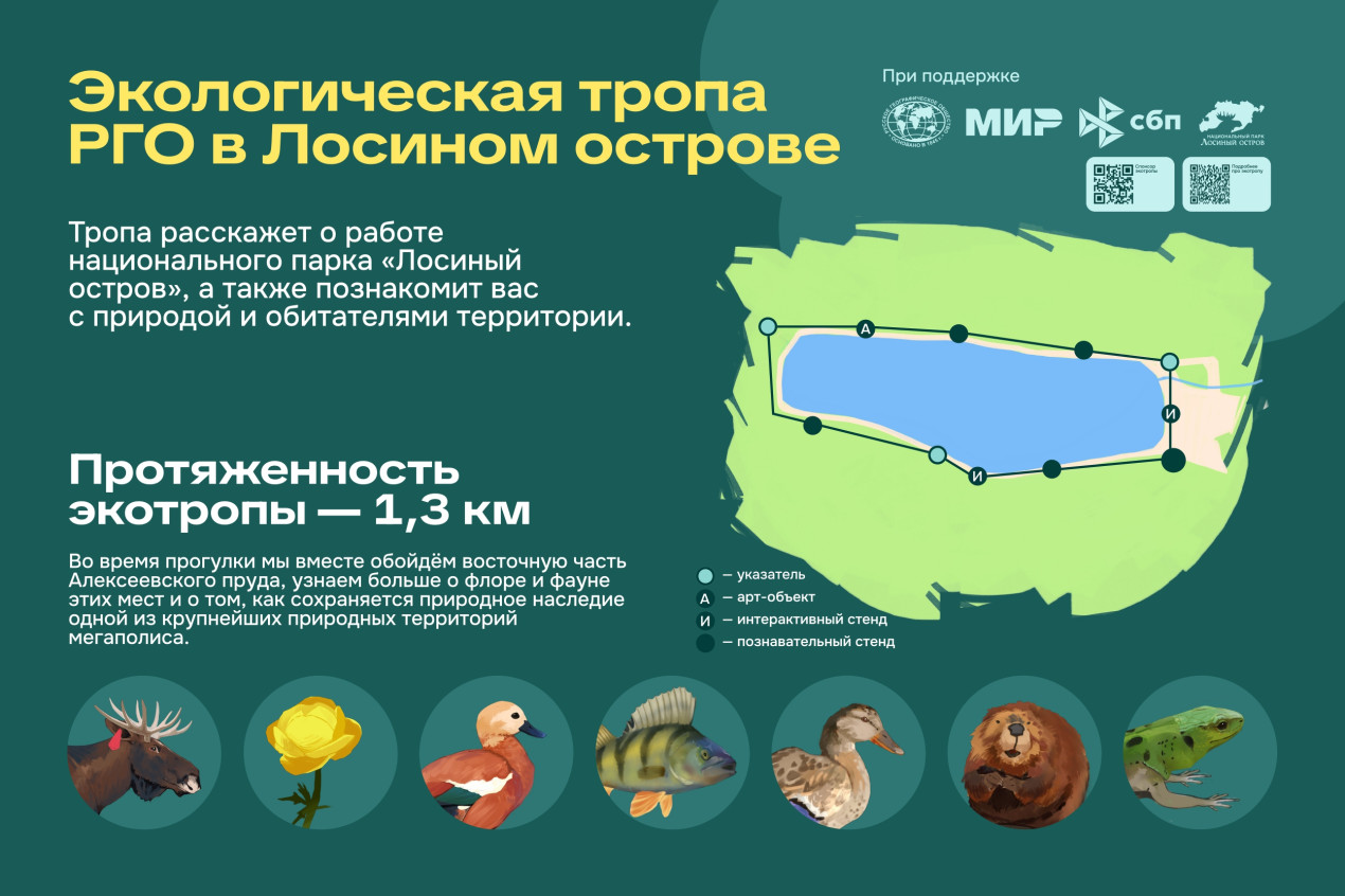 Схема Экотропы РГО в Лосином Острове