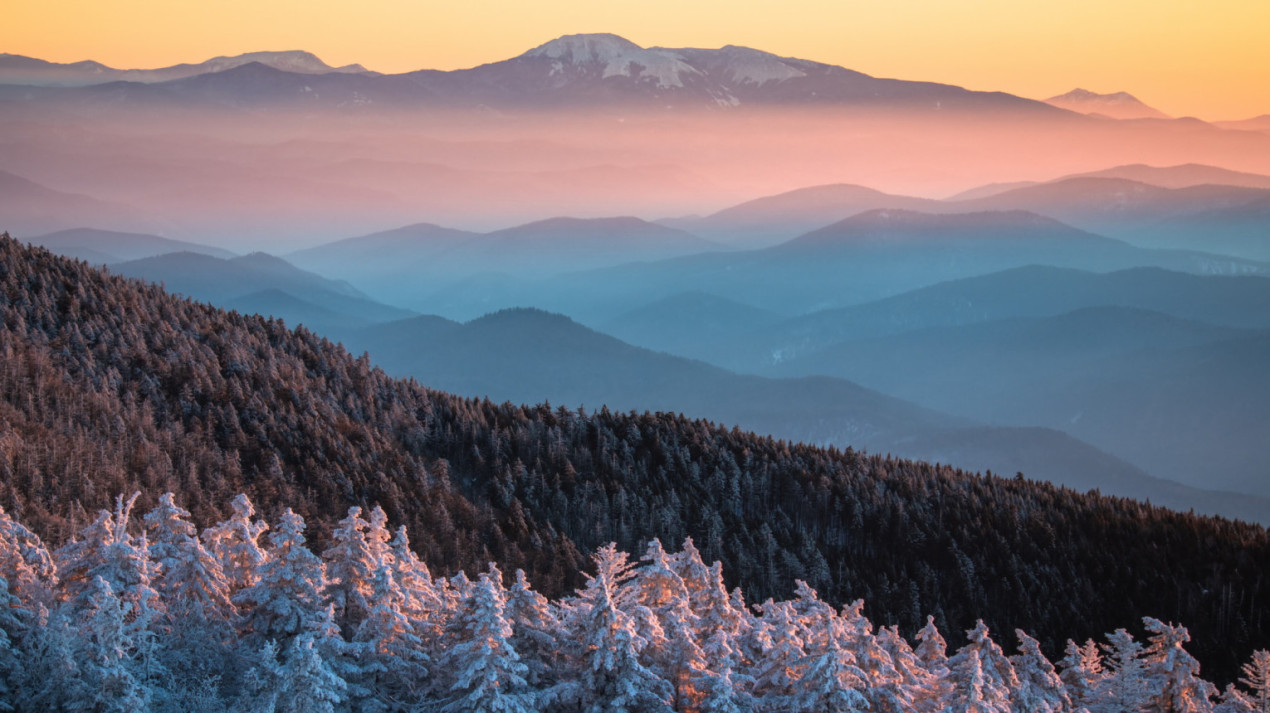 Awakening. Photo: Vitaly Berkov, the participant of the RGS's contest 