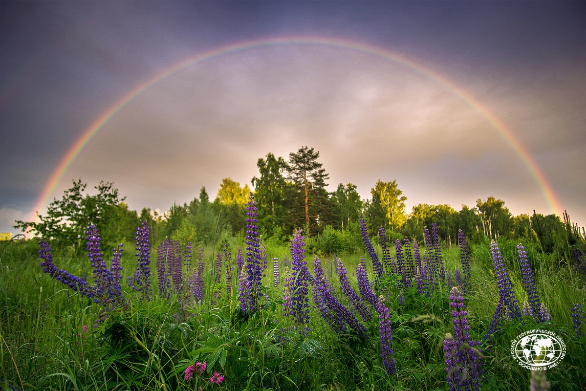 Вечерняя радуга после летнего дождя. Фото: Владислав Тябин