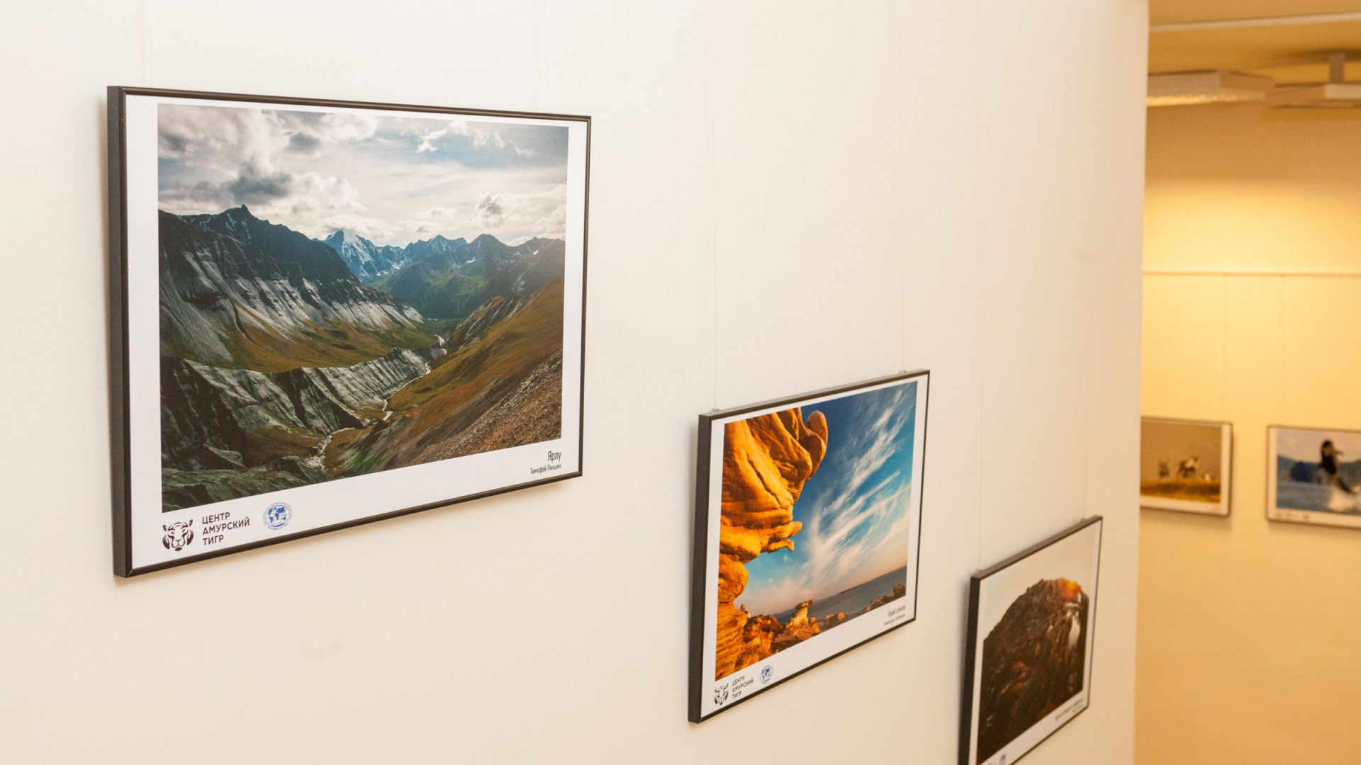 Photo exhibition 'Nature and animals of Russia' '