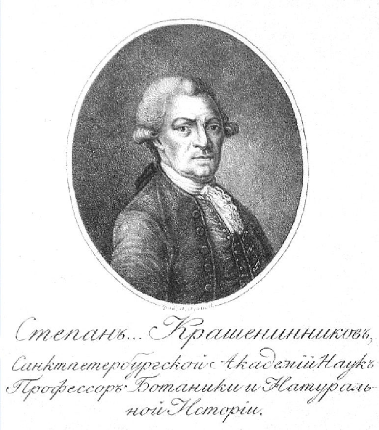 Степан Крашенинников. Фото: wikipedia.org