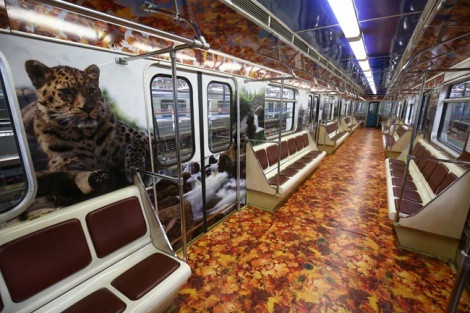 Photo from the website mosmetro.ru