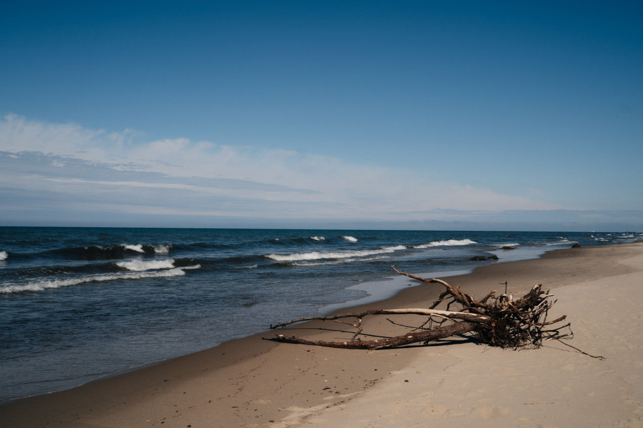 The Baltic Sea coast. Photo: Ksenia Chaikina
