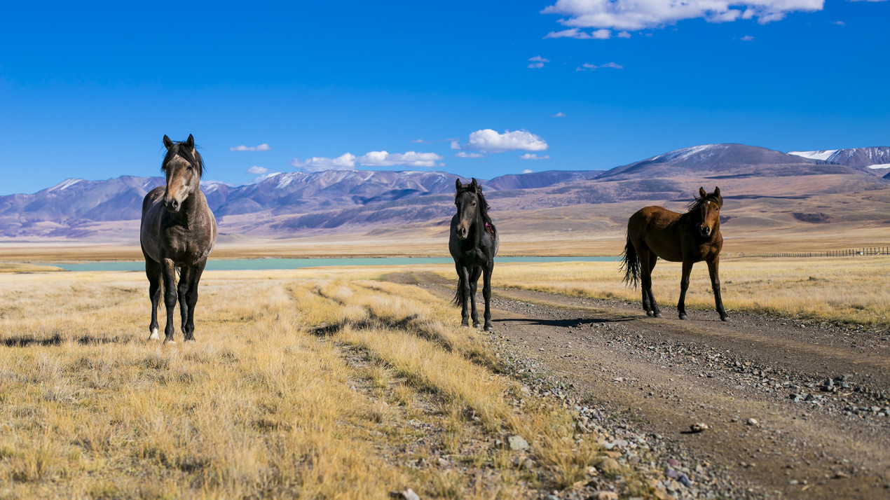 На просторах Евразии.  Фото: Александра Алексеева, участник конкурса РГО «Самая красивая страна»