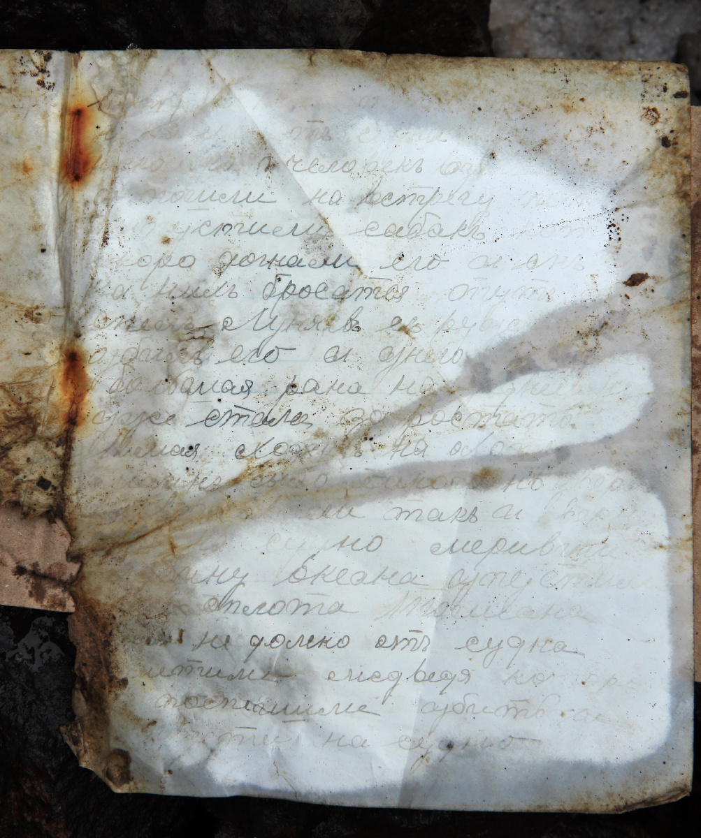 Дневник, найденный вблизи мыса Ниль, принадлежал одному из участников экспедиции на шхуне 