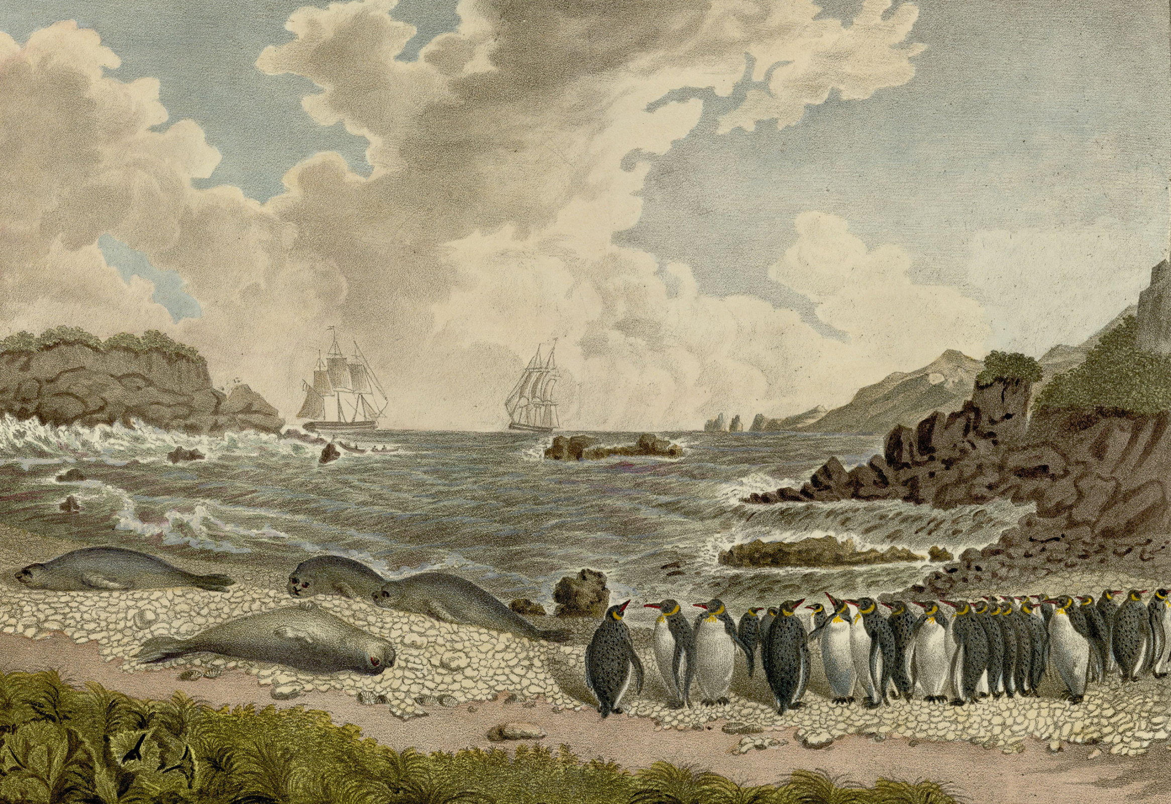 Вид острова Маквари с перешейка с северо-восточной стороны. Акварель Павла Михайлова. Около 1821 г. Иллюстрация из издания 