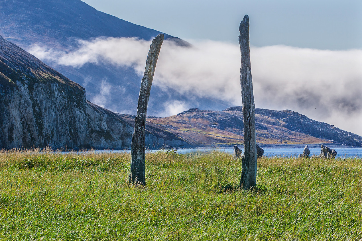 Китовая аллея. Фото: Владимир Манилов, участник конкурса РГО 