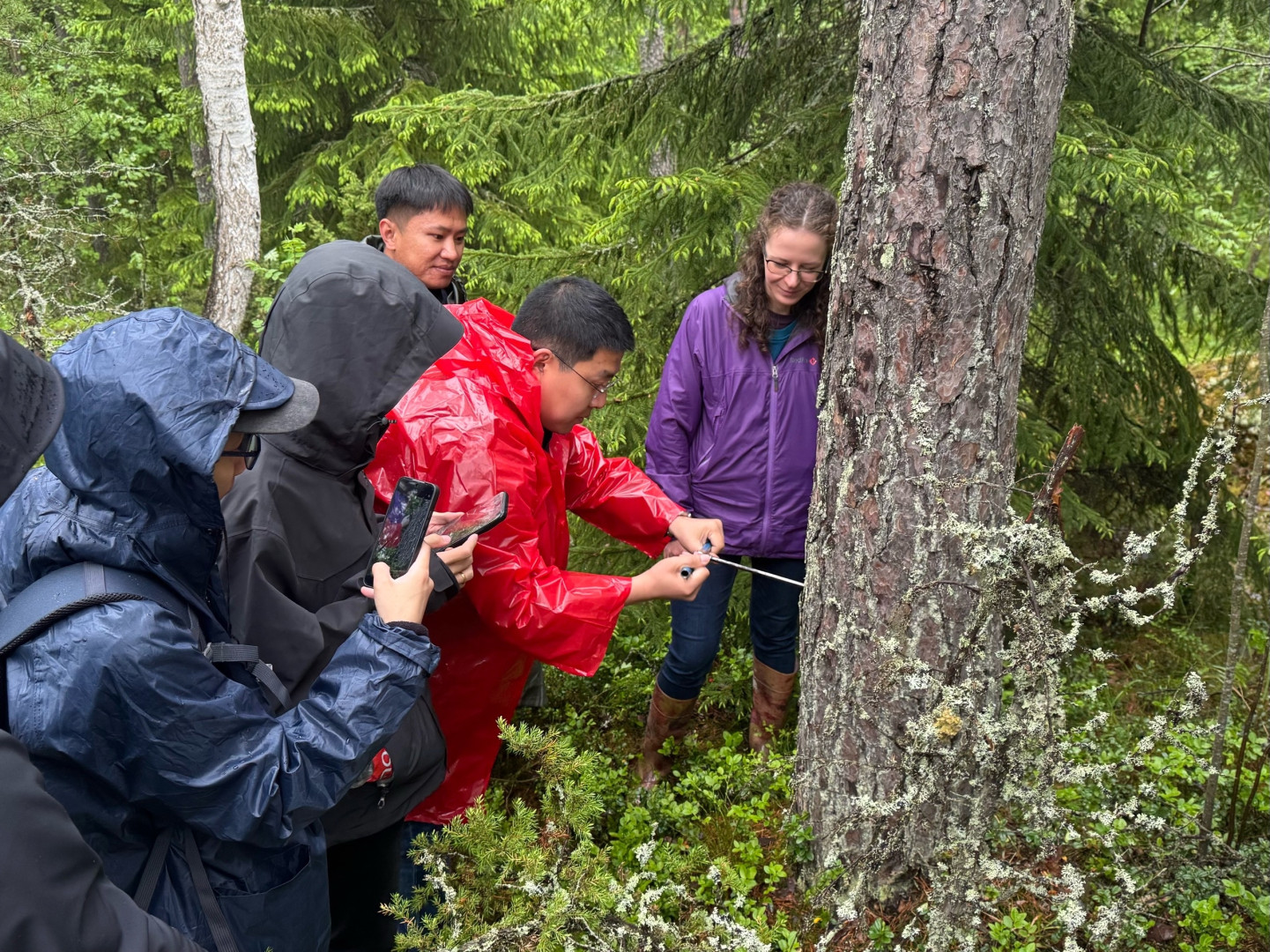 A master class on taking samples from a trunk to determine the age of a tree at the St. Petersburg State University "Ladoga" educational and scientific base. Photo: RGS press service
