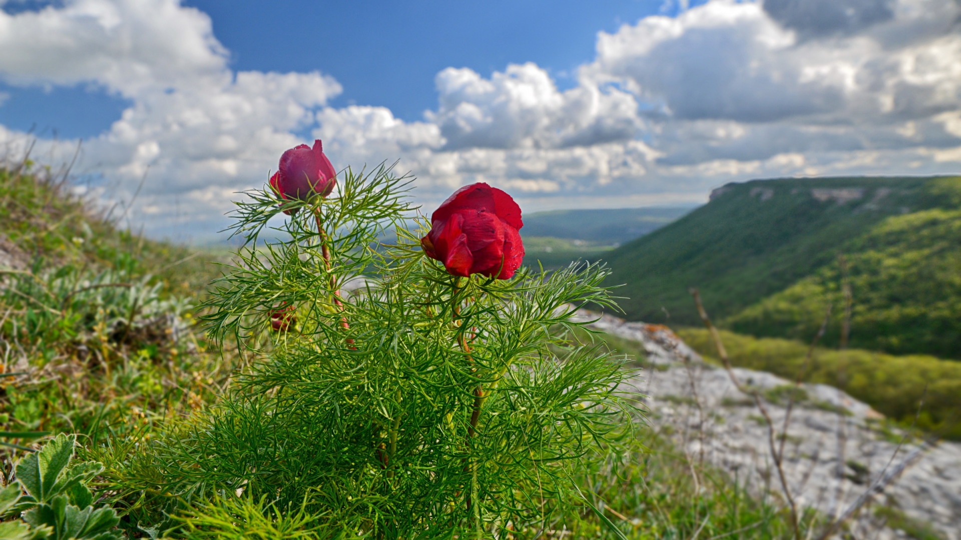 В урочище Таш-Джарган Фото: Юрий Югансон