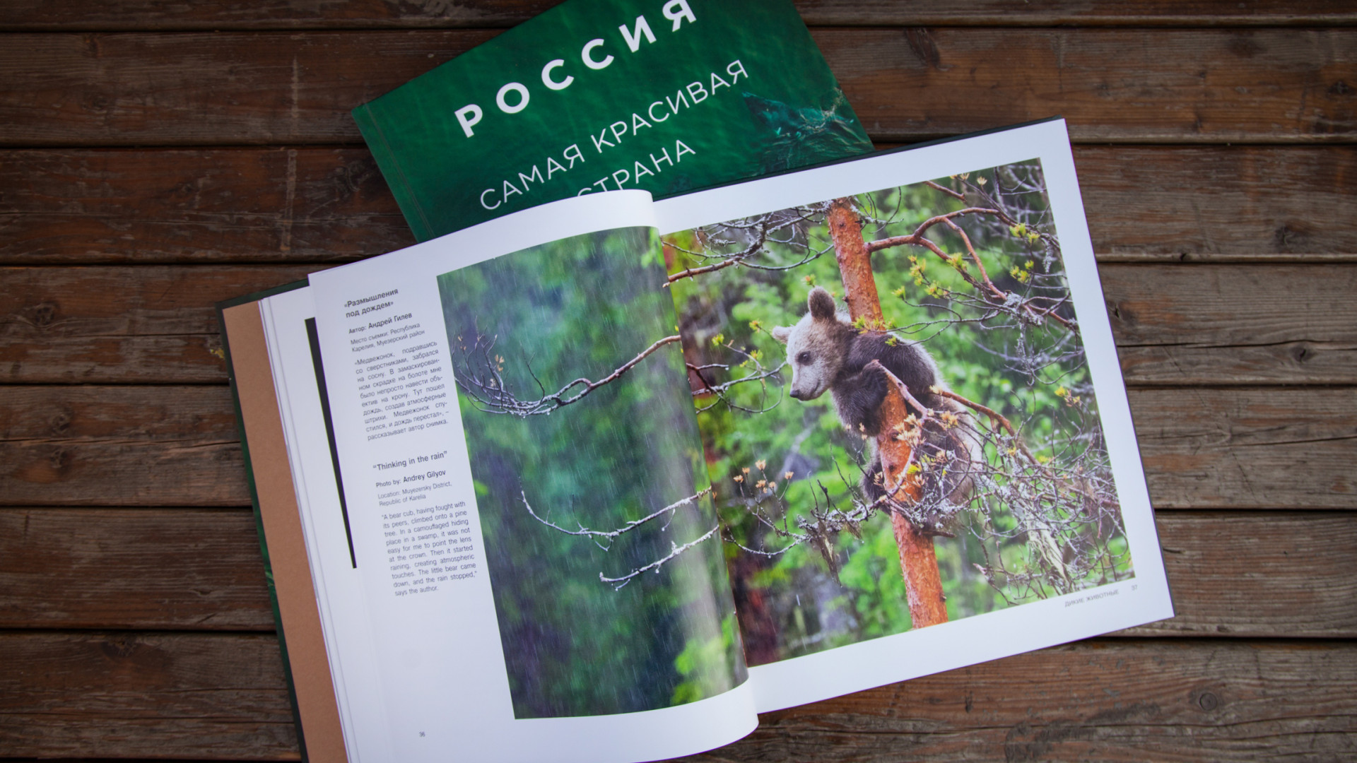 Фото: пресс-служба РГО