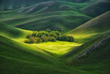 Photo by: Andrey Grachev