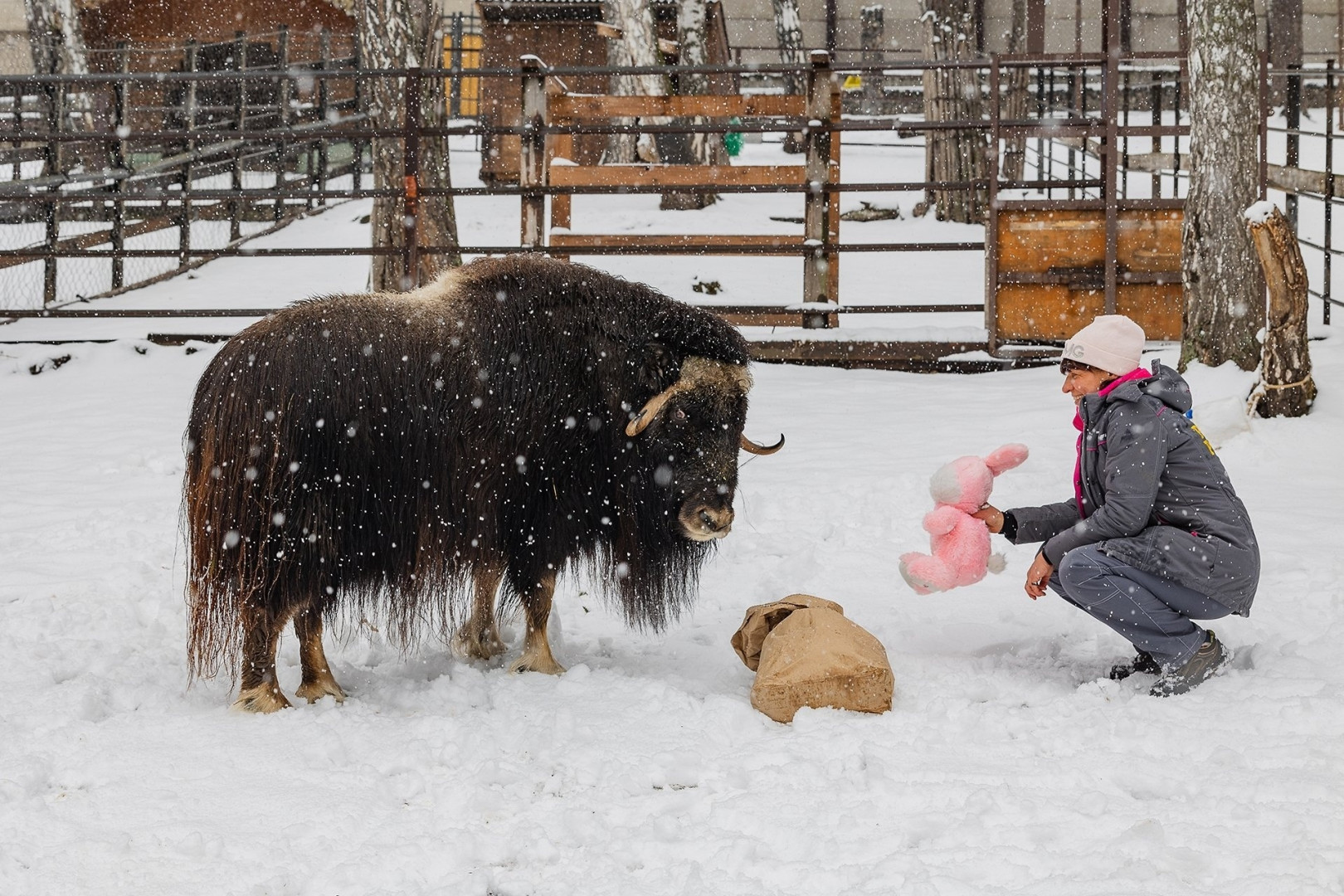 Подарков много не бывает. Фото: Олег Чипура / парк «Роев ручей»