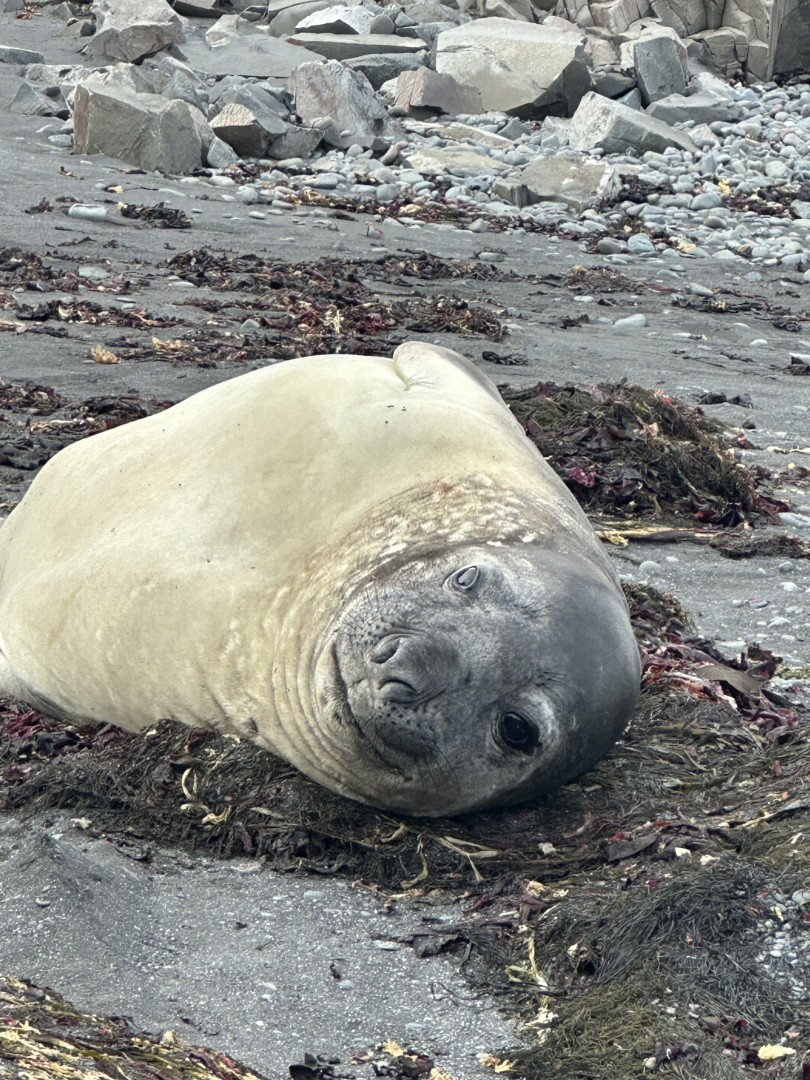 The local population. Photo provided by the project participants