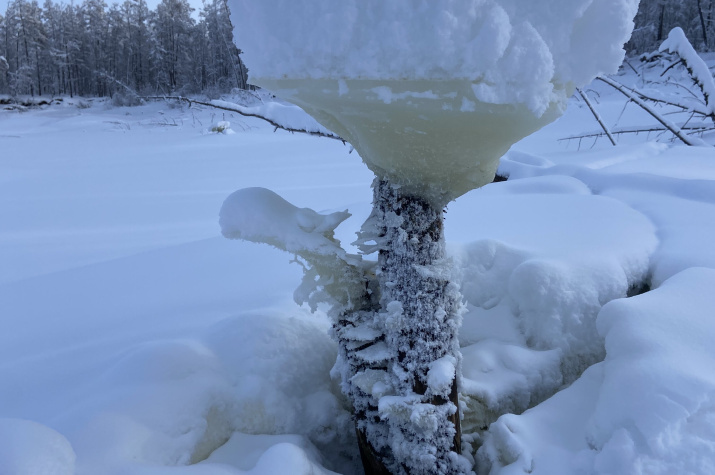 Ещё недавно здесь была вода. Фото: Леонид Гагарин