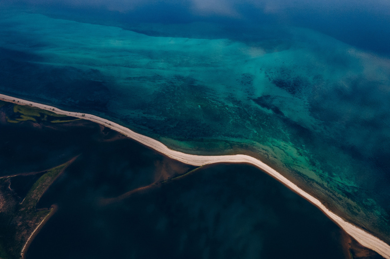 Прибрежная жизнь. Фото: Владимир Латынников, участник конкурса РГО 