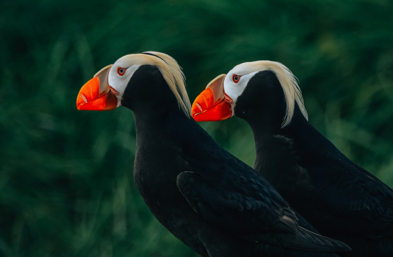 В ожидании. Фото: Дмитрий Куликов, участник конкурса РГО 