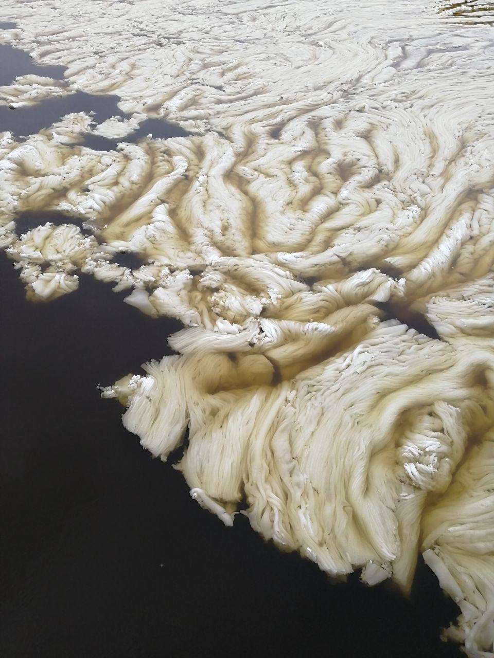 Снежура на Екатерингофке 28.03.22. Фото: Маргарита Потехина/ААНИИ