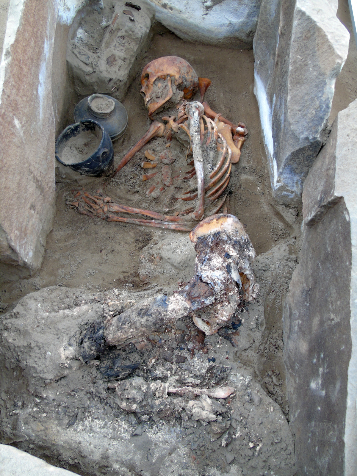 Частично мумифицированное погребение на могильнике Терезин. Фото предоставлено ИИМК РАН. Экспедиция 2018 года