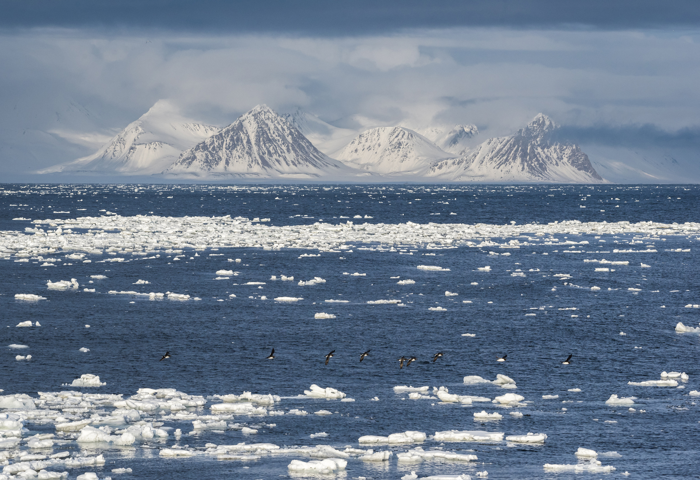 Погода в арктических морях непредсказуема. Фото: Виталий Новиков