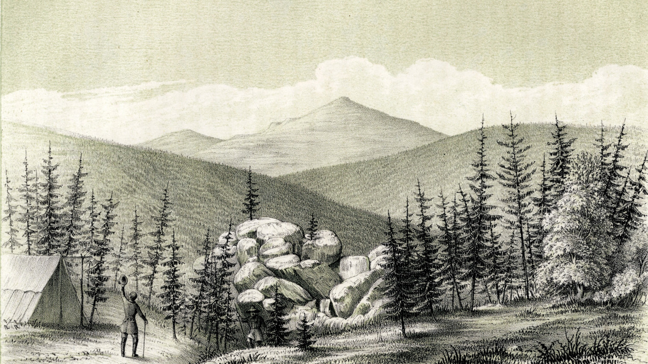 Уральская экспедиция. Вид горы Койп. Фото: Научный архив РГО