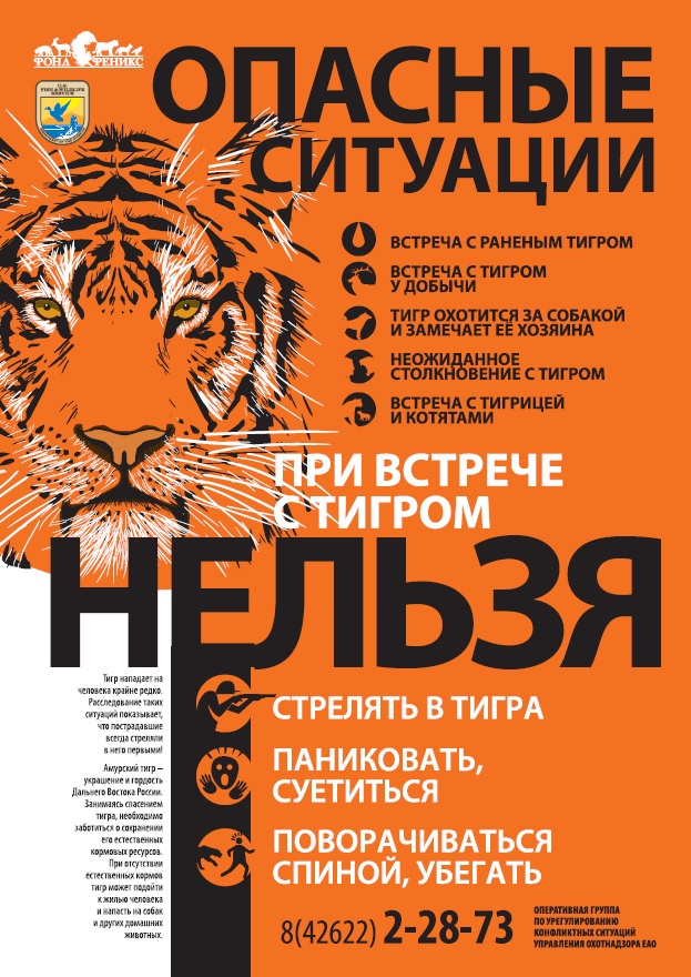 Иллюстрация: © «Фонд «Феникс»