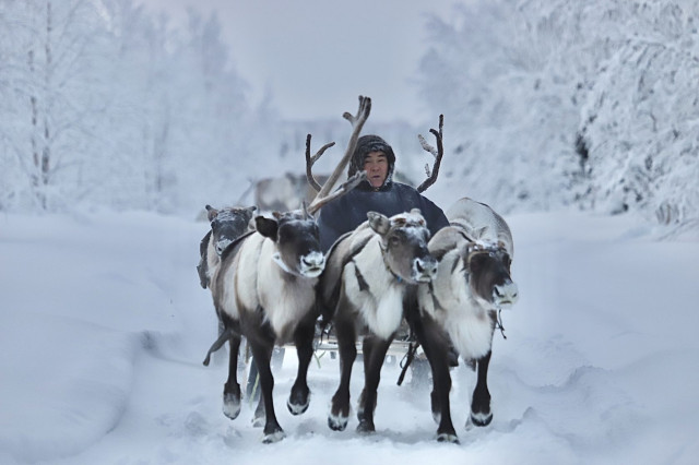 Мобильность ненцев определяет их мировоззрение. Фото: Mzungu Expeditions