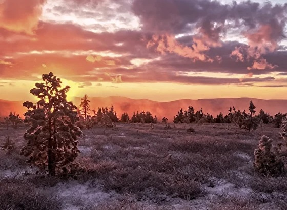 Фото предоставлено туроператором 