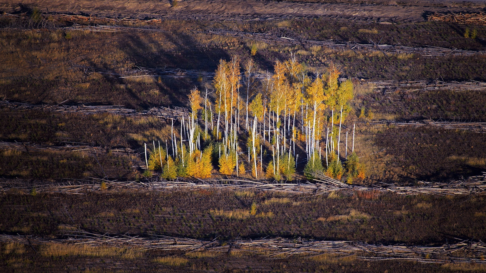 Photo by: Konstantin Tolokonnikov