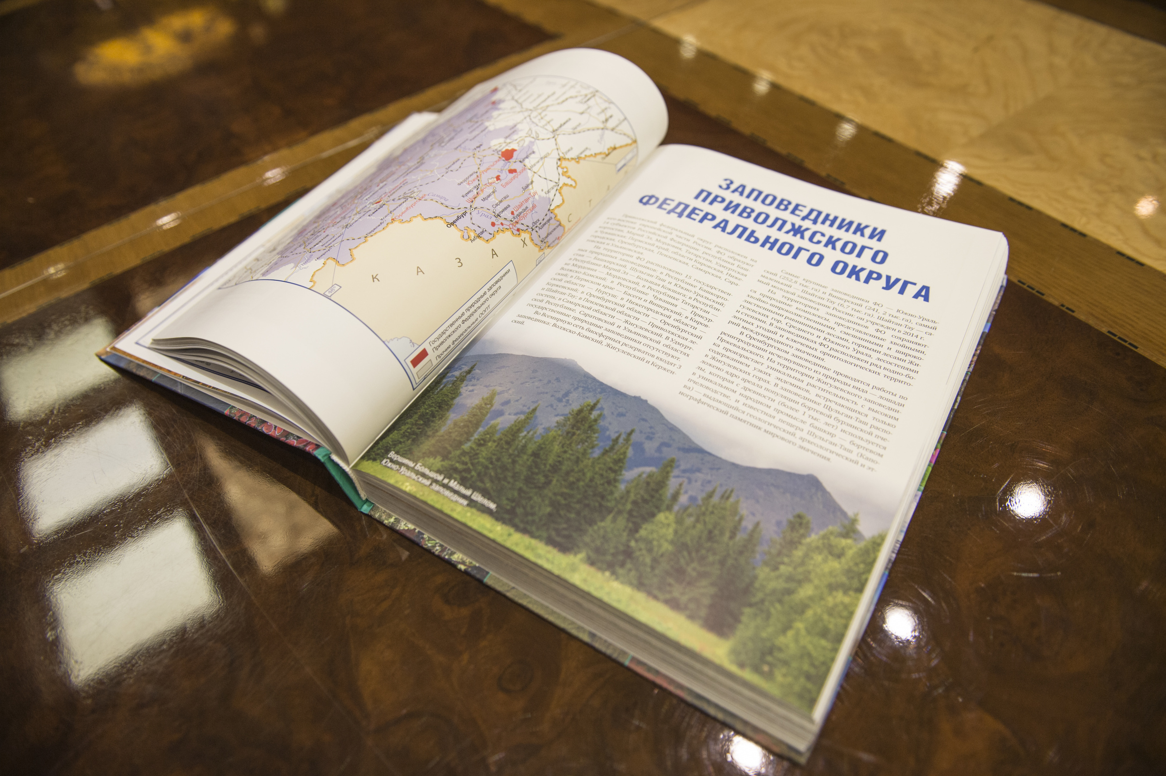 Фото: пресс-служба РГО