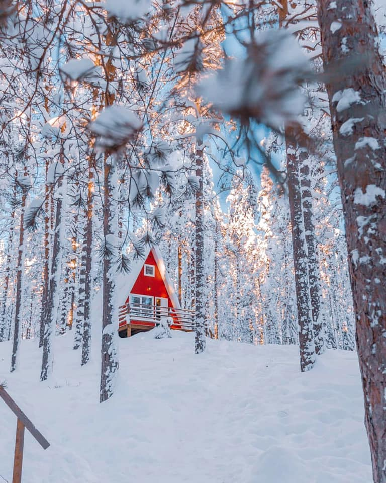 Природа в глэмпингах становится продолжением интерьеров номеров. Фото: facebook.com/greenvald.park