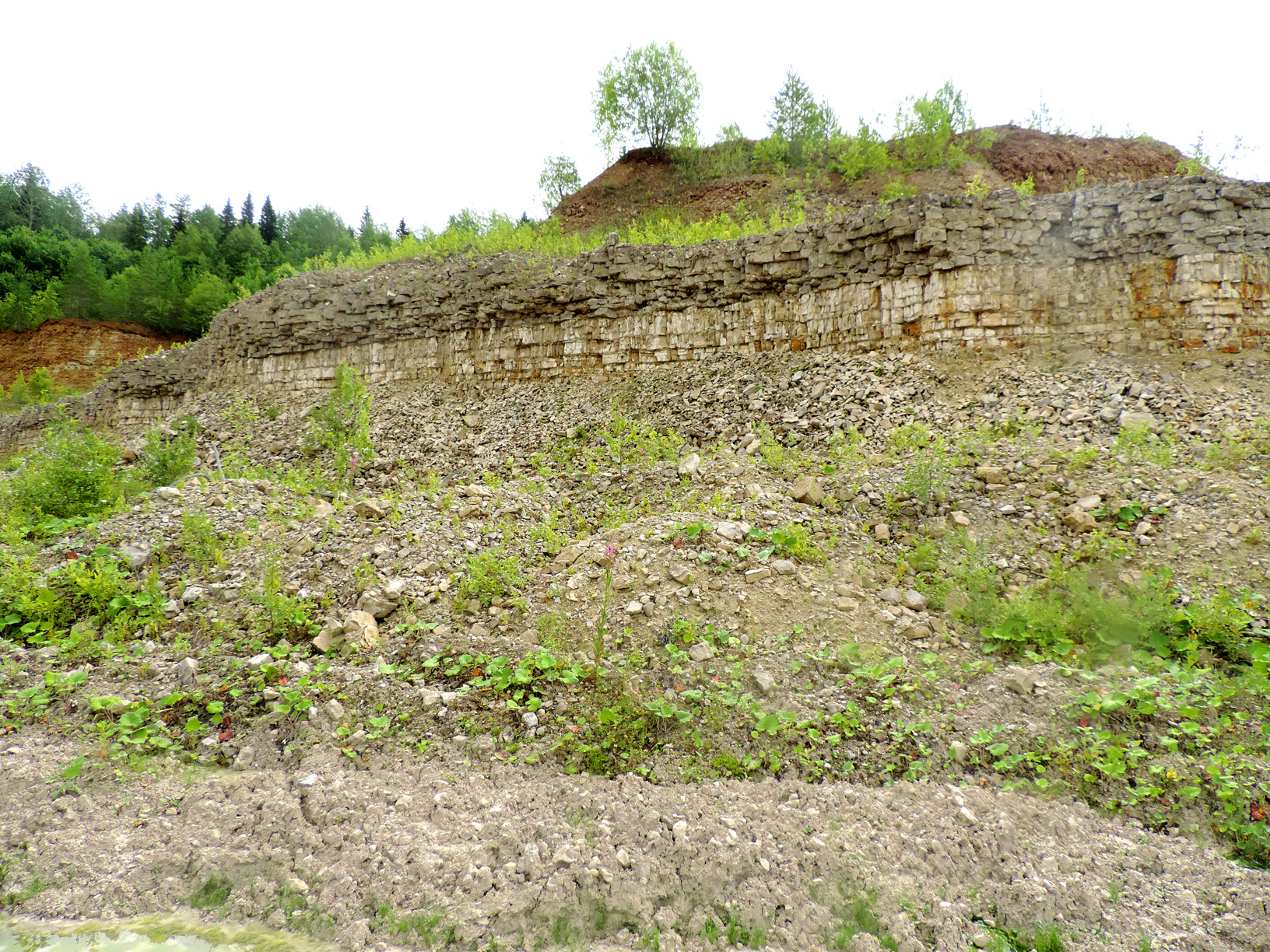 Фото предоставлено Костромским областным отделением РГО