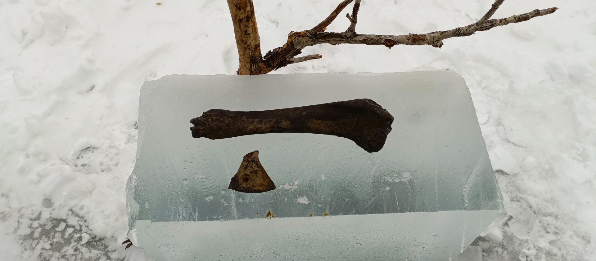 Ice and artifact. Photo provided by the expedition members