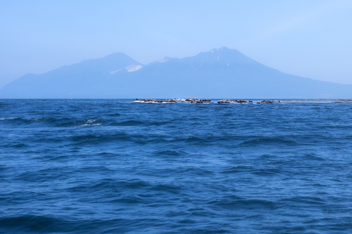 Слияние с морем. Фото: Александр Чазов, финалист конкурса 