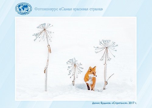 Изображение предоставлено АО