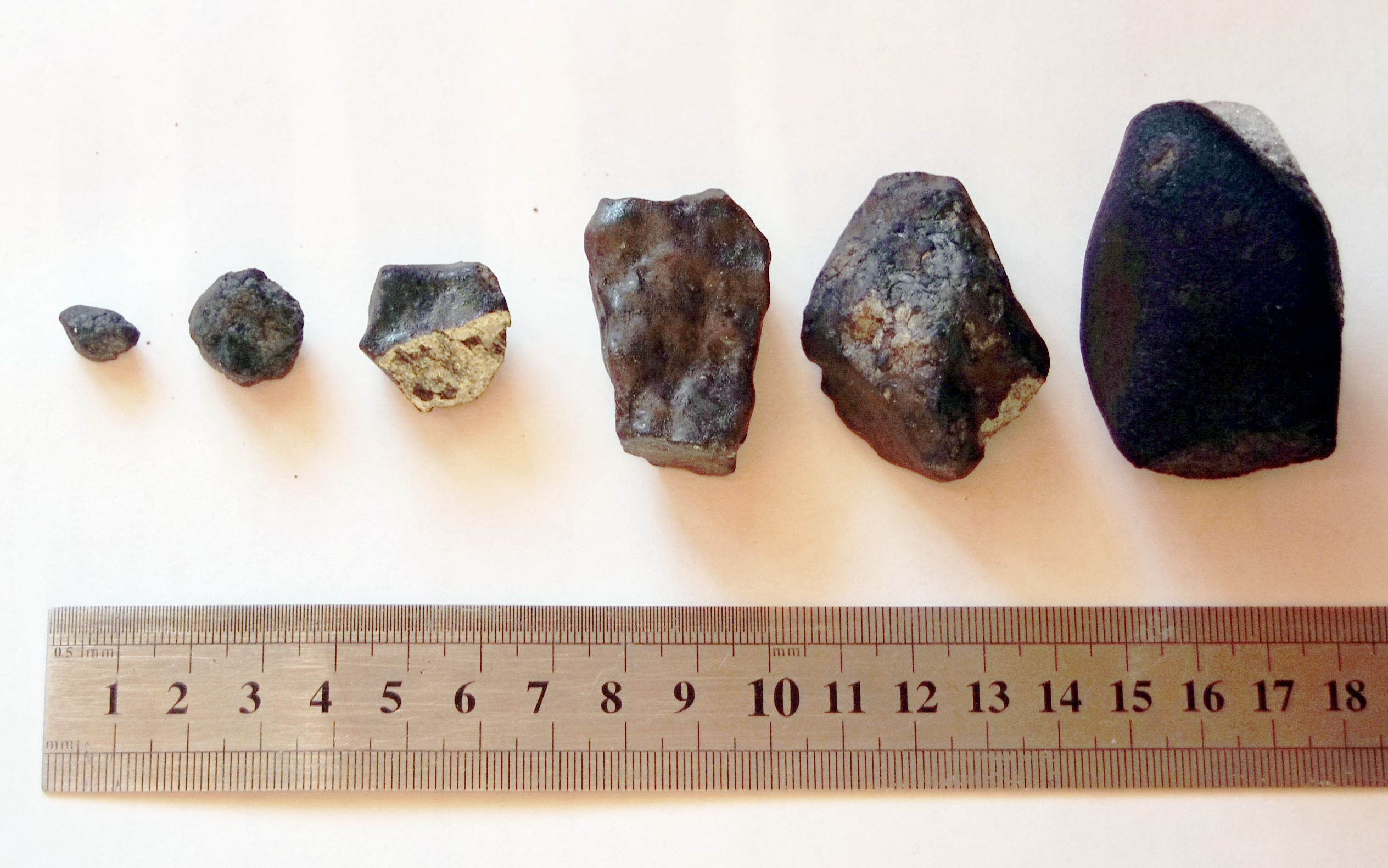 Фрагменты метеорита, найденные экспедицией ЧелГУ. Фото: wikimedia.org / Александр Сапожников