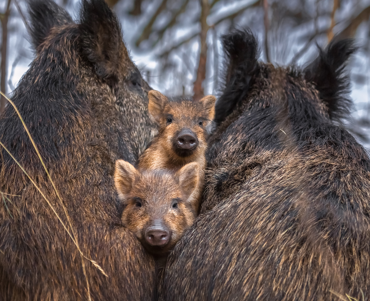 Фото: Фёдор Лашков