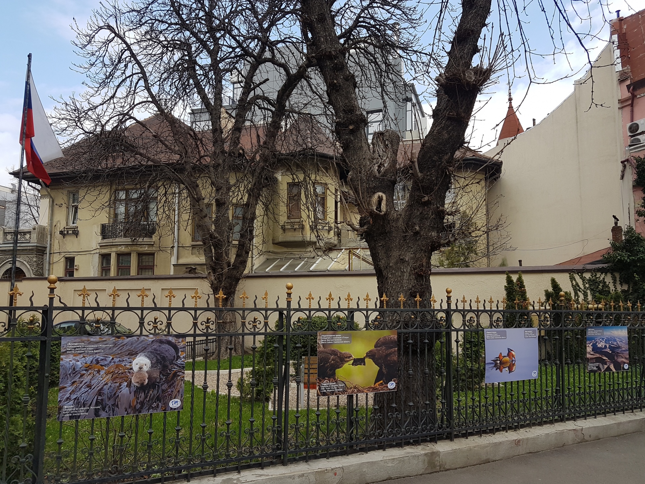 Фото предоставлено Российским центром науки и культуры в Бухаресте