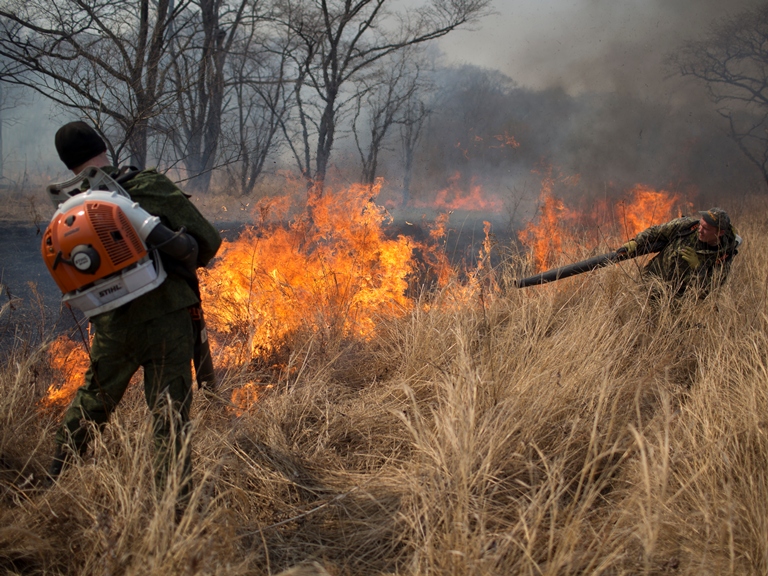 Борьбу с возгораниями специалисты лесохозяйственной службы ''Земли леопарда'' ведут с помощью воздуходувок и специальных опрыскивателей. Фото: Эммануэль Рондао
