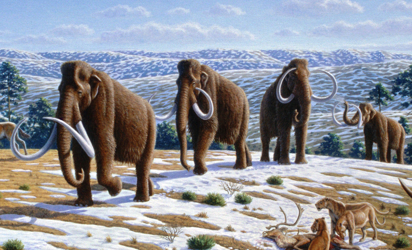 Источник: wikipedia.org/PLoS Biology/Mauricio Antón