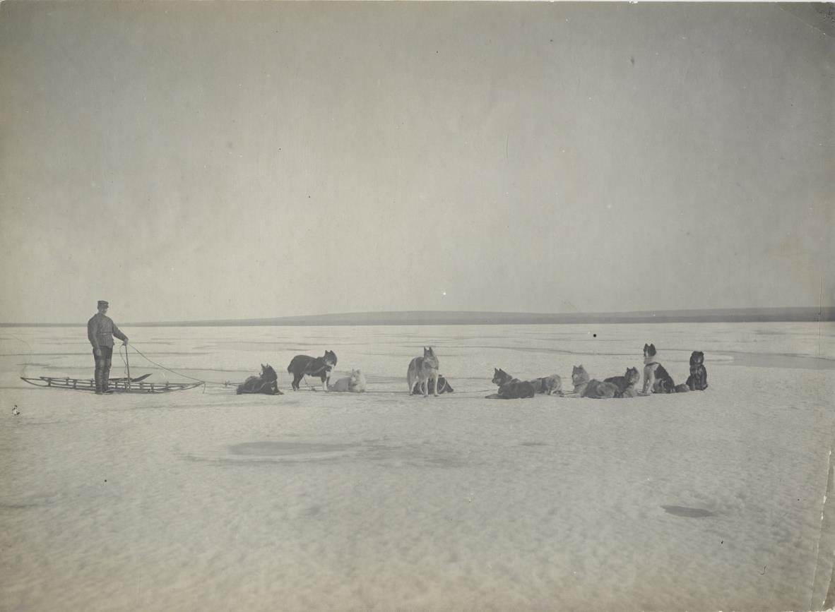 Экспедиция Э. В. Толля. Фото: Научный архив РГО