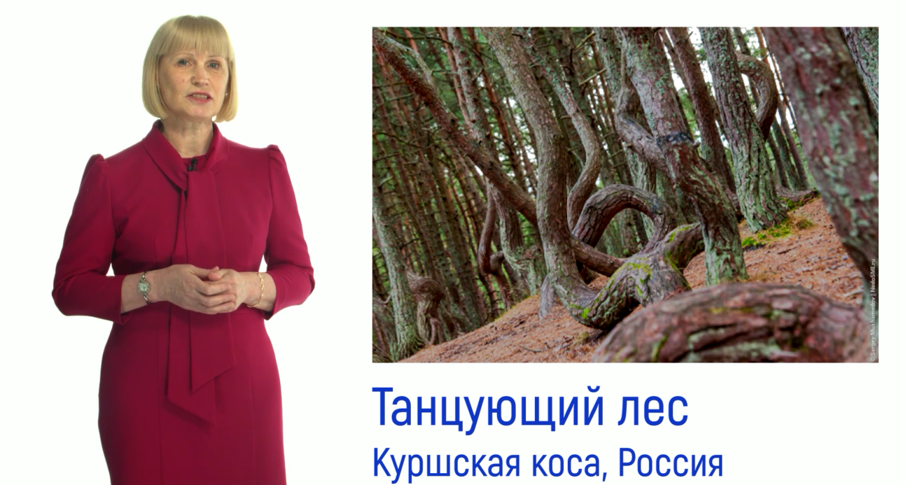 Премьера нового ролика.