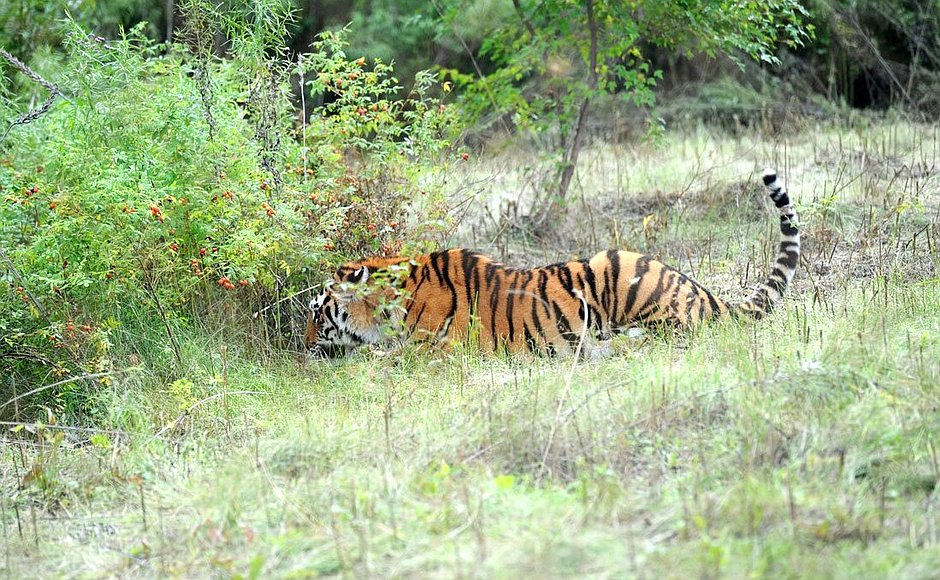 Фото: www.kremlin.ru