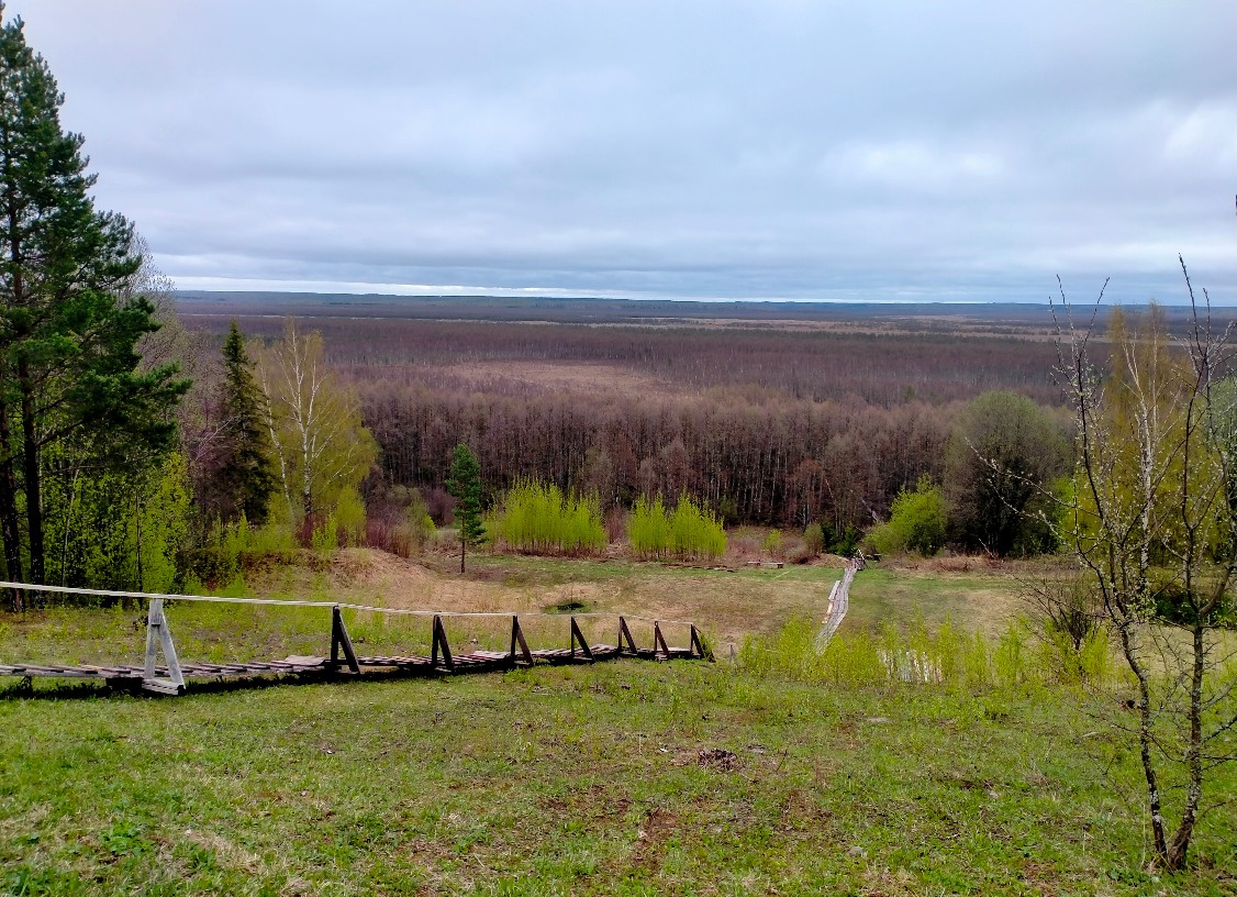 Сусанинская тропа. Фото: Костромское областное отделение РГО