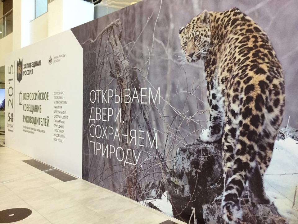 Фото: leopard-land.ru