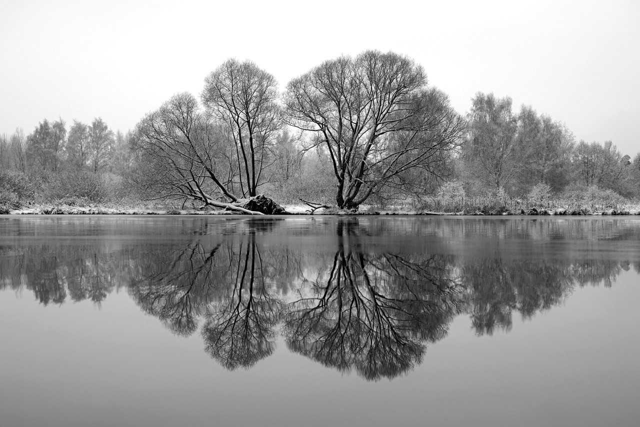 Первый снег на реке. Фото: Илья Домиров
